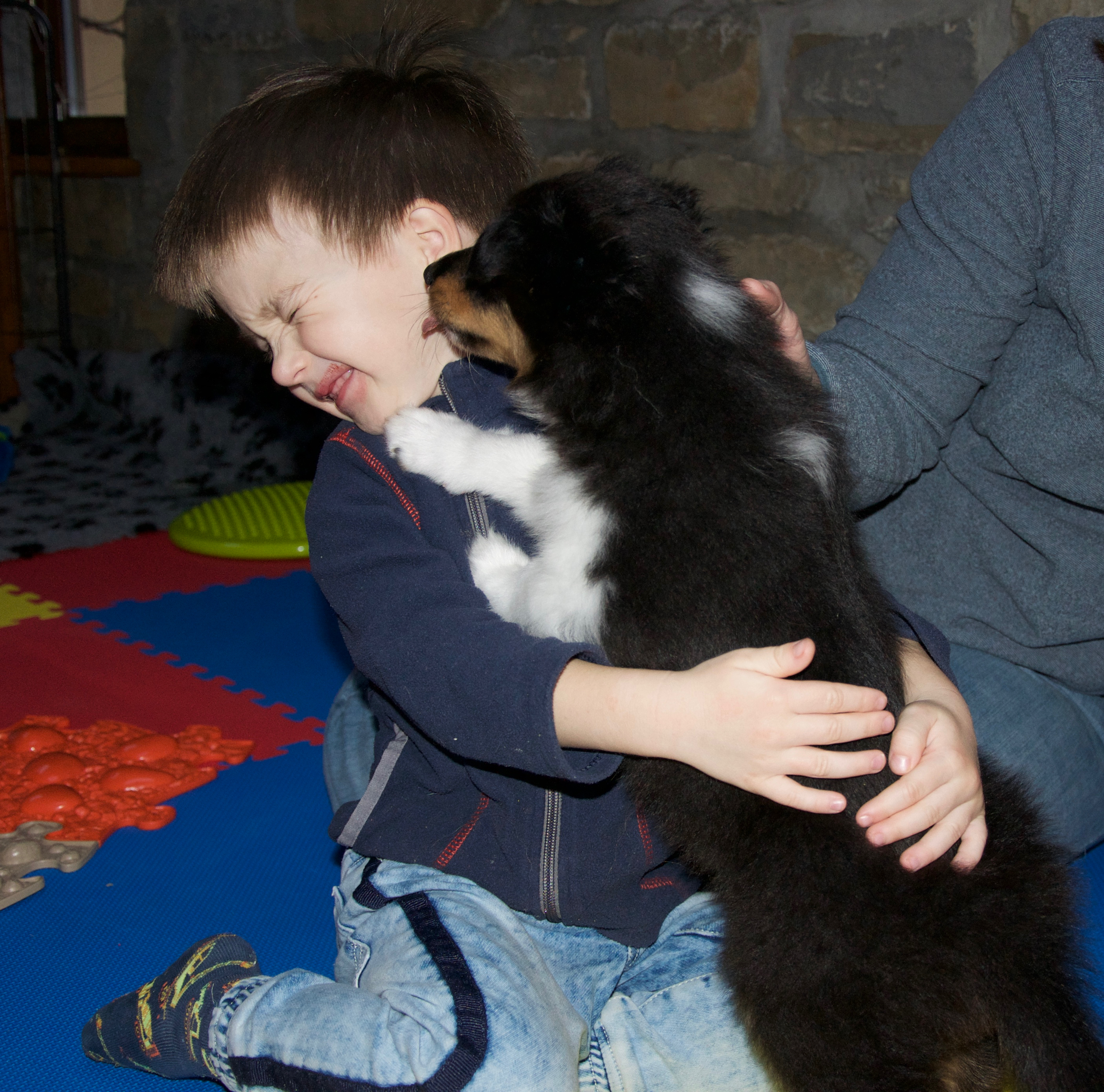 Rosemary Hill’s Designed To Perfection