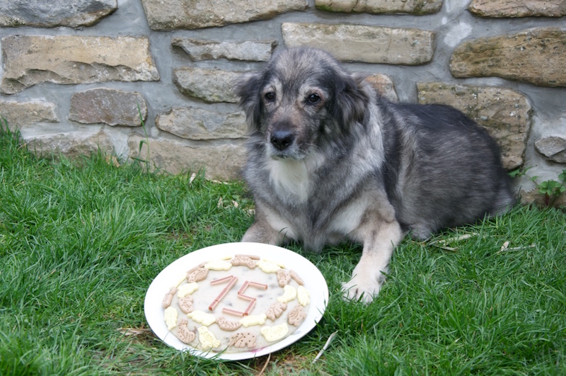 Roni's 15th birthday