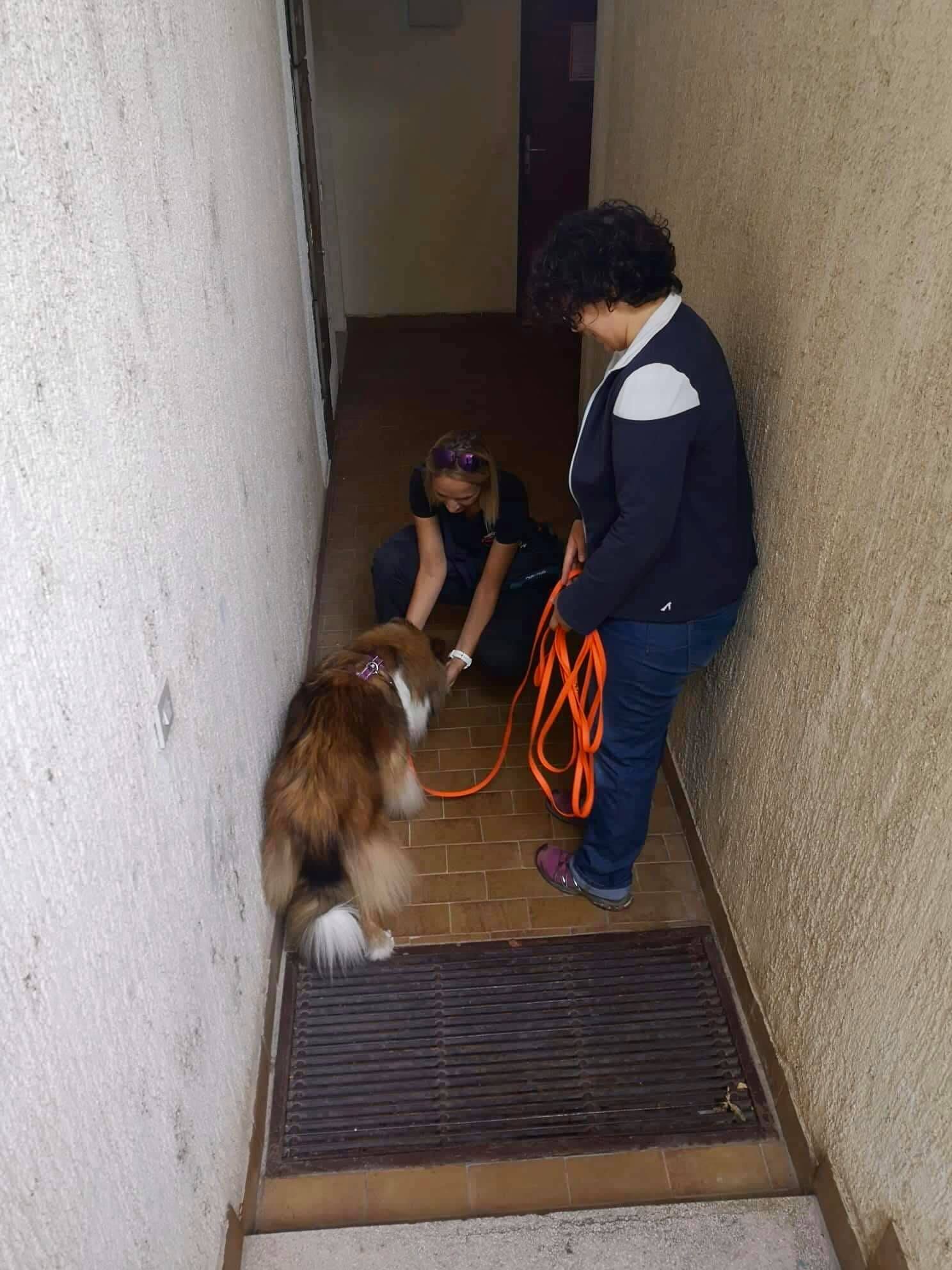 Rosemary Hill's Sunshine In My Sky