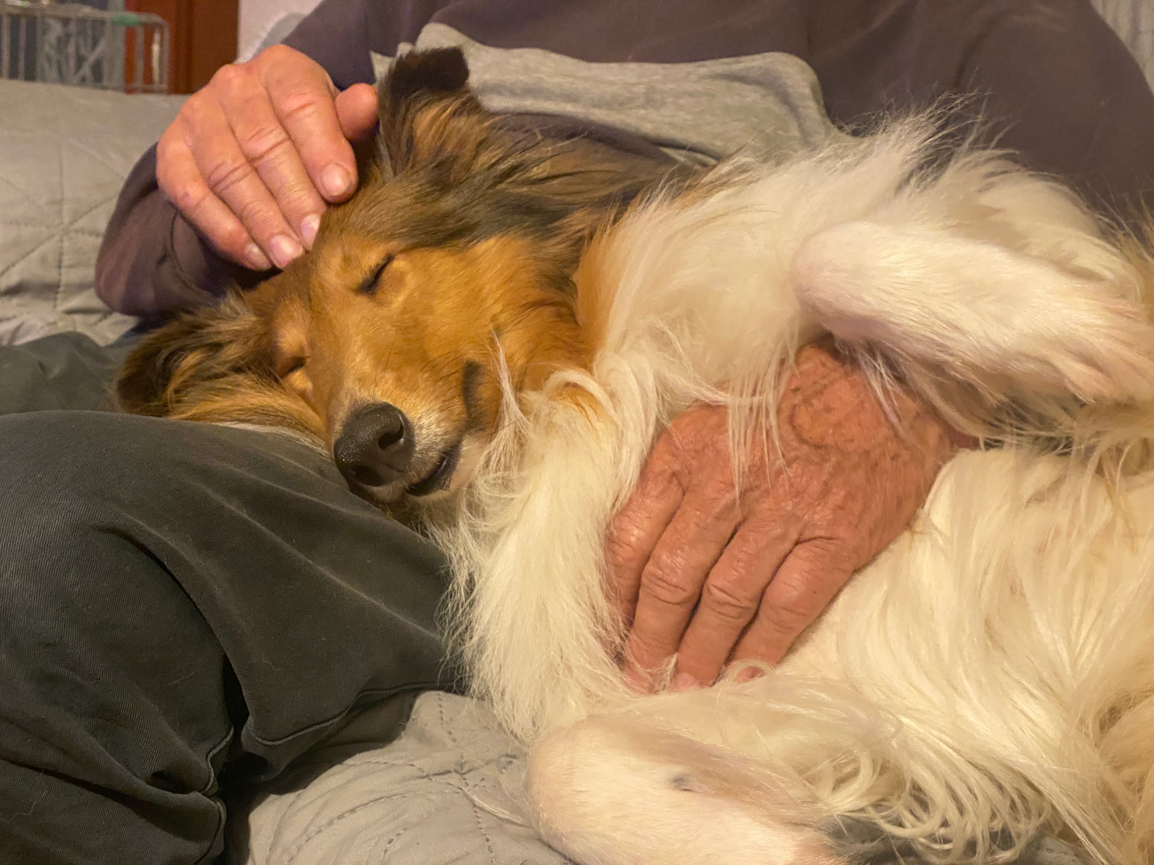 Rosemary Hill's Sunshine In My Sky